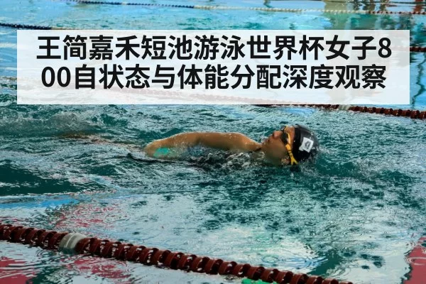 competitive swimmer freestyle stroke